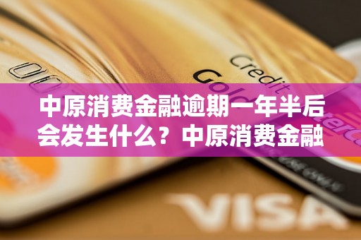 中原消费金融逾期一年半后会发生什么？中原消费金融逾期处理流程详解