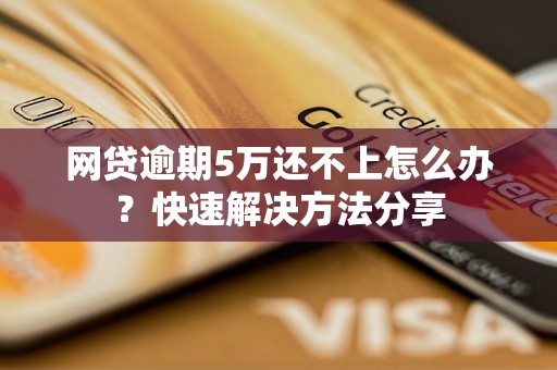 网贷逾期5万还不上怎么办？快速解决方法分享