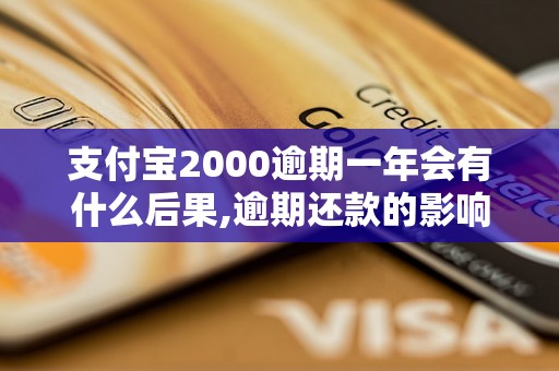 支付宝2000逾期一年会有什么后果,逾期还款的影响及解决方法