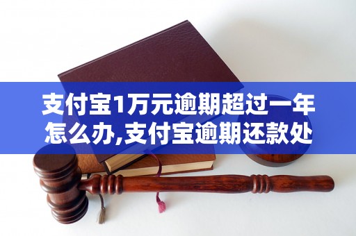 支付宝1万元逾期超过一年怎么办,支付宝逾期还款处理流程介绍