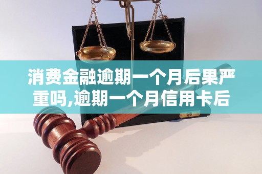 消费金融逾期一个月后果严重吗,逾期一个月信用卡后果及处理办法