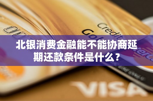 北银消费金融能不能协商延期还款条件是什么？