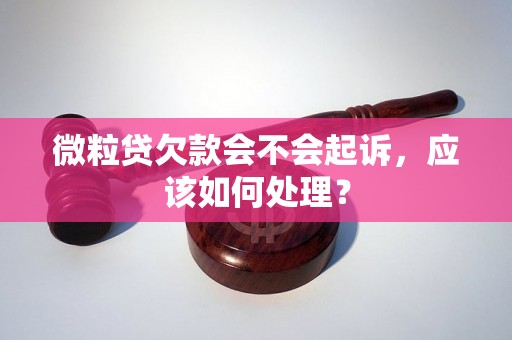 微粒贷欠款会不会起诉，应该如何处理？