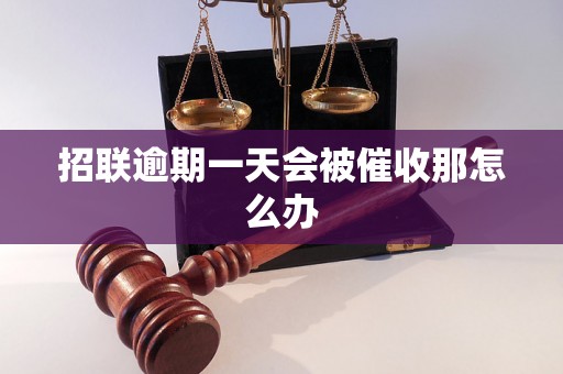 招联逾期一天会被催收那怎么办