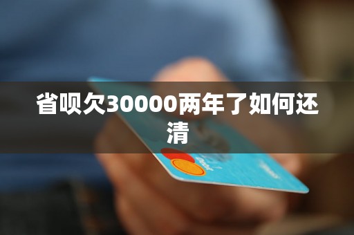 省呗欠30000两年了如何还清