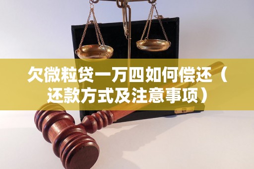 欠微粒贷一万四如何偿还（还款方式及注意事项）