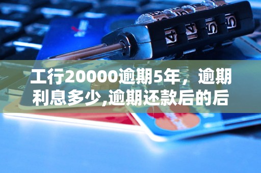 工行20000逾期5年，逾期利息多少,逾期还款后的后果