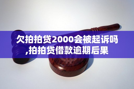 欠拍拍贷2000会被起诉吗,拍拍贷借款逾期后果