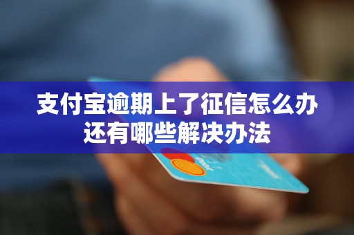 支付宝逾期上了征信怎么办还有哪些解决办法