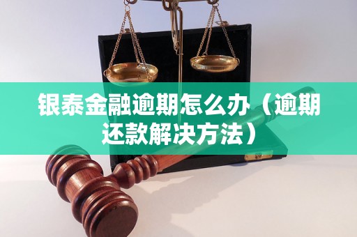 银泰金融逾期怎么办（逾期还款解决方法）