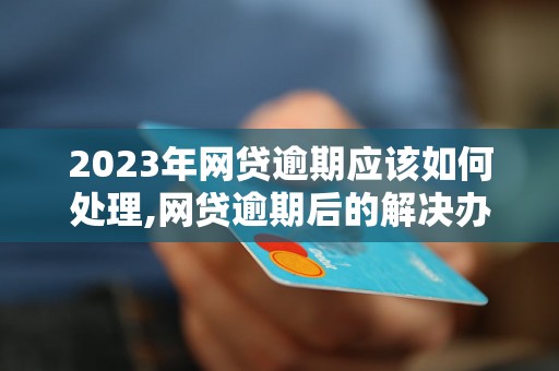 2023年网贷逾期应该如何处理,网贷逾期后的解决办法