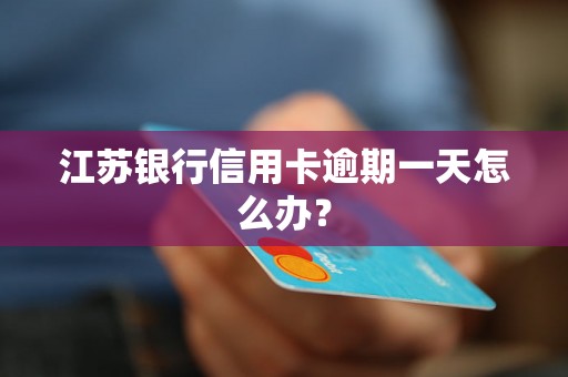 江苏银行信用卡逾期一天怎么办？