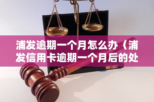 浦发逾期一个月怎么办（浦发信用卡逾期一个月后的处理方法）