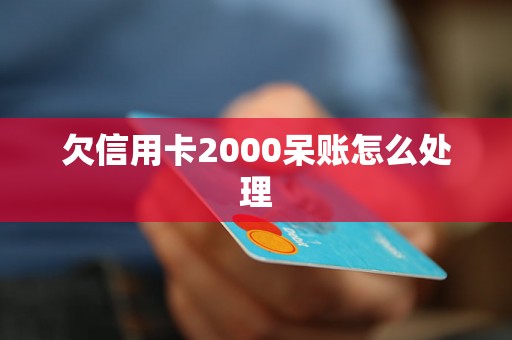 欠信用卡2000呆账怎么处理