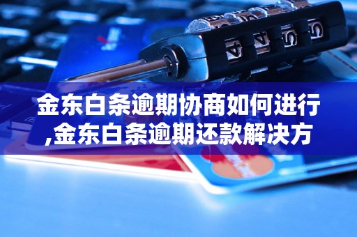 金东白条逾期协商如何进行,金东白条逾期还款解决方案