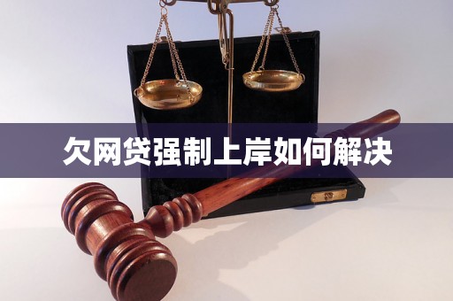 欠网贷强制上岸如何解决