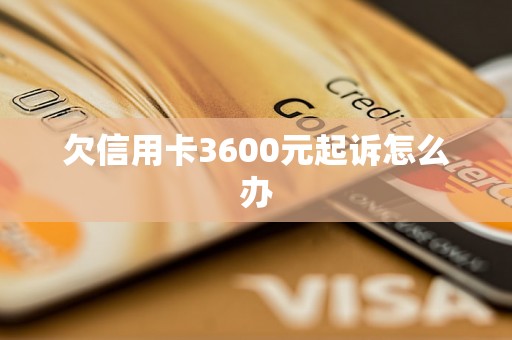 欠信用卡3600元起诉怎么办