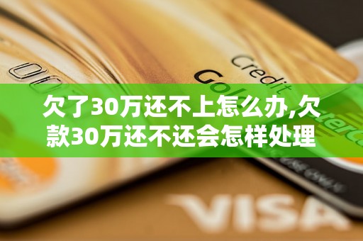 欠了30万还不上怎么办,欠款30万还不还会怎样处理