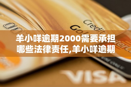 羊小咩逾期2000需要承担哪些法律责任,羊小咩逾期2000怎么办理