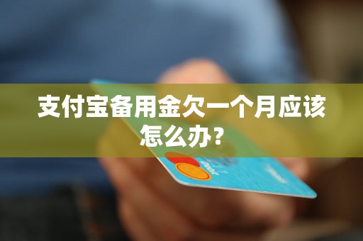 支付宝备用金欠一个月应该怎么办？