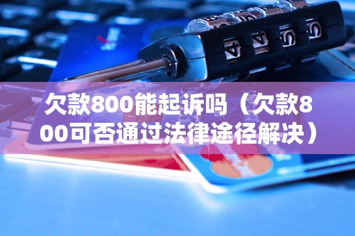 欠款800能起诉吗（欠款800可否通过法律途径解决）