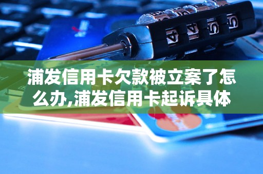 浦发信用卡欠款被立案了怎么办,浦发信用卡起诉具体流程