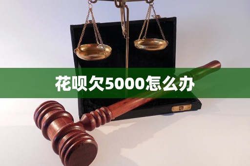 花呗欠5000怎么办