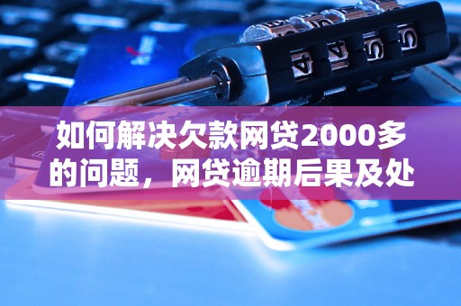 如何解决欠款网贷2000多的问题，网贷逾期后果及处理办法