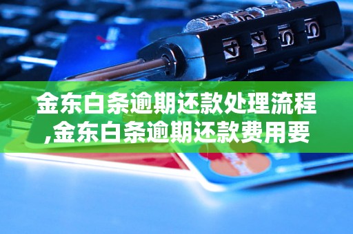 金东白条逾期还款处理流程,金东白条逾期还款费用要注意什么