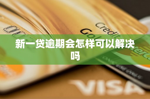 新一贷逾期会怎样可以解决吗