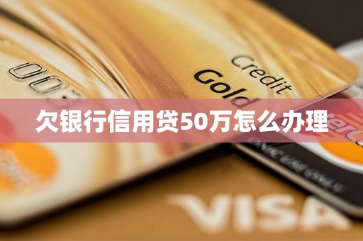 欠银行信用贷50万怎么办理