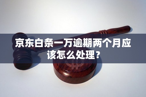 京东白条一万逾期两个月应该怎么处理？