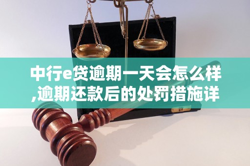 中行e贷逾期一天会怎么样,逾期还款后的处罚措施详解