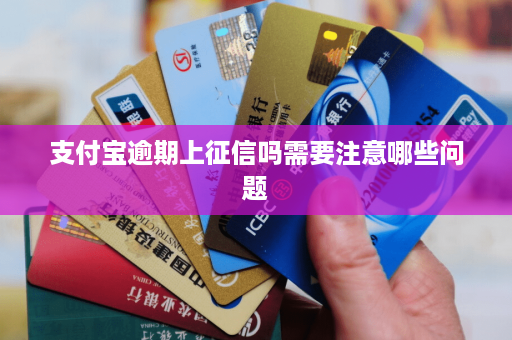 个人征信支付宝_支付宝那些软件上征信_征信支付宝软件上能查吗