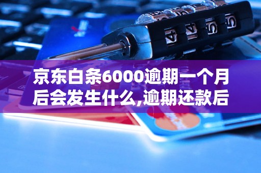 京东白条6000逾期一个月后会发生什么,逾期还款后影响及解决方法