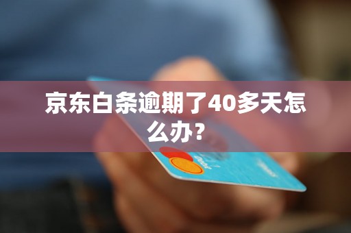 京东白条逾期了40多天怎么办？