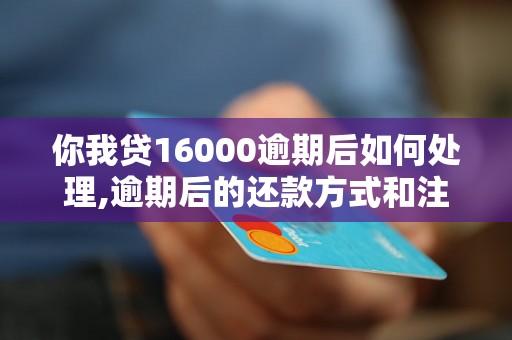 你我贷16000逾期后如何处理,逾期后的还款方式和注意事项