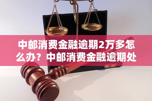 中邮消费金融逾期2万多怎么办？中邮消费金融逾期处理流程详解