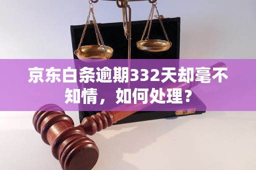 京东白条逾期332天却毫不知情，如何处理？