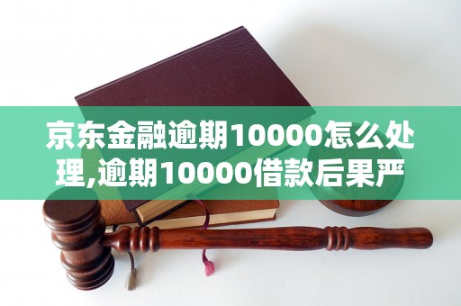 京东金融逾期10000怎么处理,逾期10000借款后果严重吗