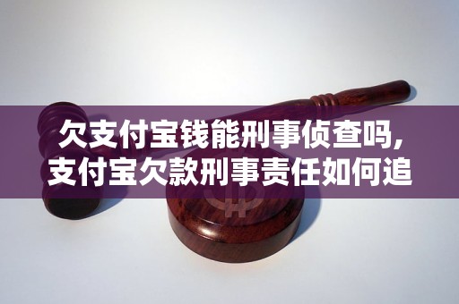 欠支付宝钱能刑事侦查吗,支付宝欠款刑事责任如何追究