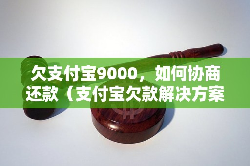 欠支付宝9000，如何协商还款（支付宝欠款解决方案）