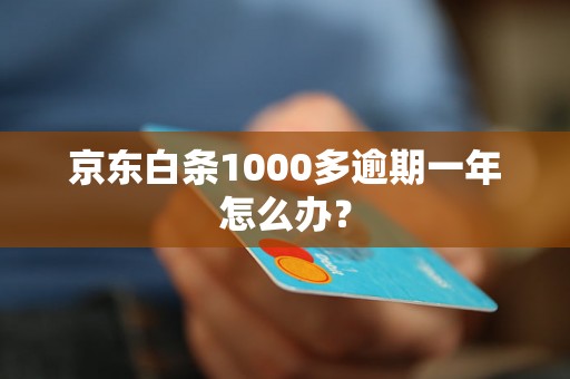 京东白条1000多逾期一年怎么办？