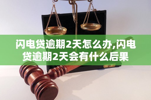 闪电贷逾期2天怎么办,闪电贷逾期2天会有什么后果