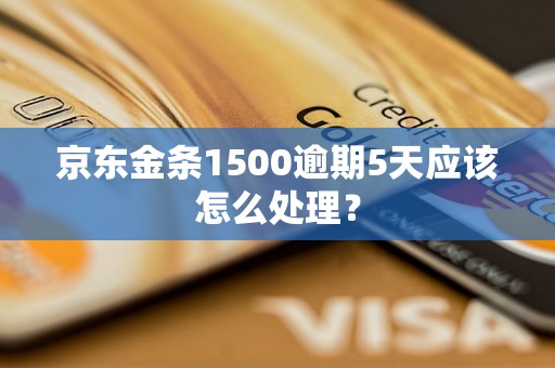 京东金条1500逾期5天应该怎么处理？