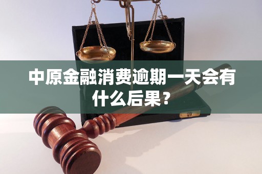 中原金融消费逾期一天会有什么后果？