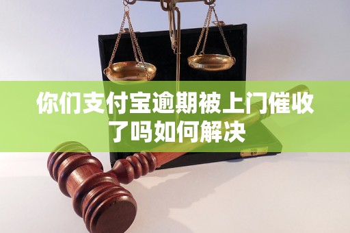 你们支付宝逾期被上门催收了吗如何解决