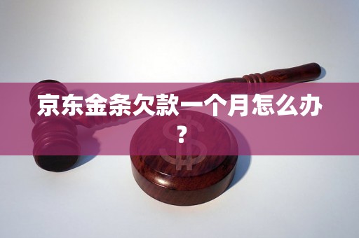 京东金条欠款一个月怎么办？