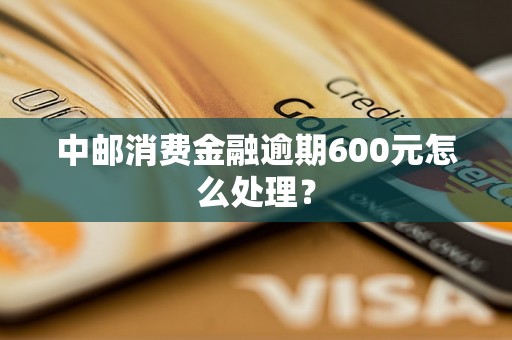 中邮消费金融逾期600元怎么处理？