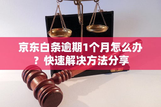 京东白条逾期1个月怎么办？快速解决方法分享